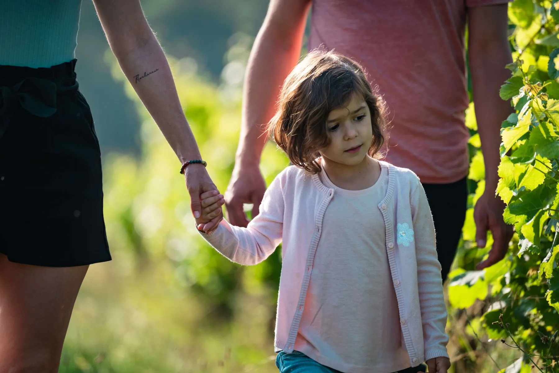 Vignoble en famille